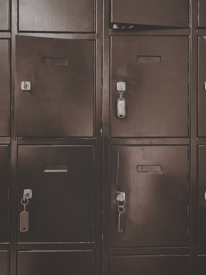 A close-up of vintage metal lockers with padlocks in a sepia tone, capturing a classic security theme.